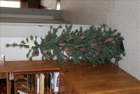 Sale Image for Moving Auction