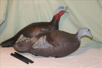 Sale Image for Absolute Real Estate & Contents