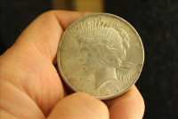 Sale Image for Large Public Auction