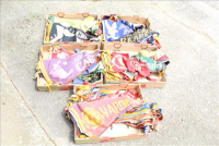 Sale Image for Moving Auction