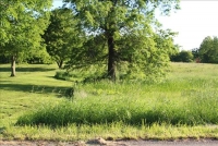 Sale Image for Real Estate & Contents Auction - Buckley Estate