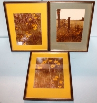 Sale Image for November Online Auction