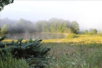 Sale Image for Real Estate Auction