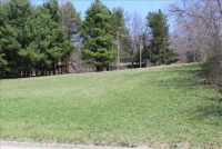 Sale Image for Real Estate & Contents