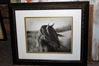 Sale Image for Public Auction