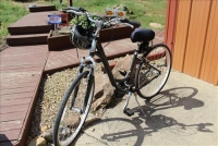 Sale Image for Large Public Auction