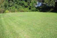 Sale Image for Extra Large Estate Auction