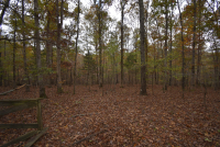 Sale Image for Wilkin Estate Personal Prop. -Absentee Bidding