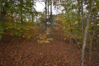 Sale Image for Wilkin Estate Personal Prop. -Absentee Bidding