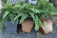 Sale Image for December Online Auction 2024