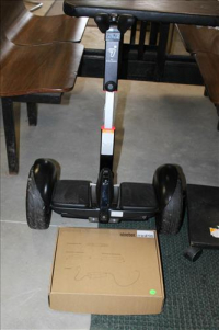 Sale Image for Large Public Auction