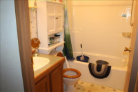 Sale Image for Auction