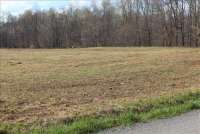 Sale Image for Real Estate Auction