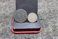 Sale Image for Moving Auction