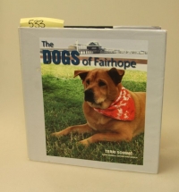 Sale Image for 1st Edition And Signed Book Auction