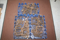 Sale Image for Large Public Auction