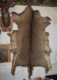 Sale Image for Real Estate & Contents