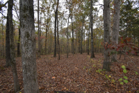 Sale Image for Wilkin Estate Personal Prop. -Absentee Bidding