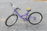 Sale Image for Online Estate Auction-Coins, Country Furniture, Collectibles