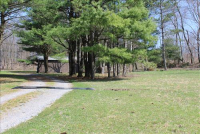 Sale Image for Real Estate & Contents