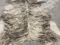 Sale Image for Second February Online 2021