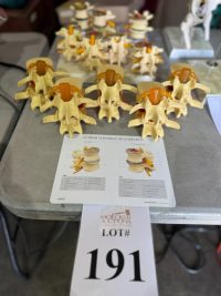 Sale Image for Florida Spine And Joint Institute, LLC