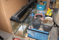 Sale Image for Large Indoor Public Auction