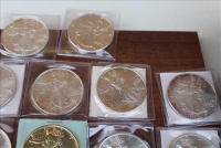 Sale Image for Large Public Auction