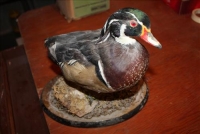 Sale Image for Moving Auction