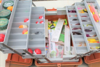 Sale Image for Real Estate And Contents