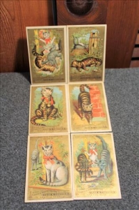 Sale Image for Absolute Real Estate & Contents Auction