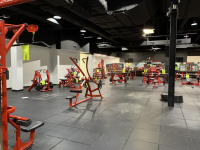 Sale Image for State-of-the-art Health And Fitness Club Equipment