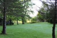 Sale Image for Real Estate Auction