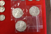 Sale Image for Real Estate And Contents