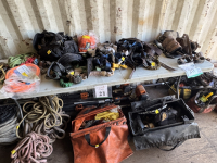 Sale Image for Native Tree Service, Inc. &amp; Native Landscape Service, Inc.