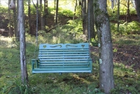 Sale Image for Moving Auction