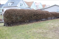 Sale Image for Absolute Real Estate Auctions - Building & Lot