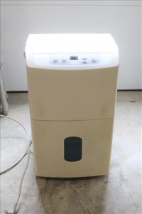 Sale Image for Large Public Auction