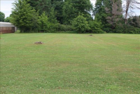 Sale Image for Real Estate & Contents