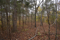 Sale Image for Wilkin Estate Personal Prop. -Absentee Bidding