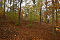 Sale Image for Wilkin Estate Personal Prop. -Absentee Bidding