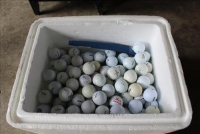 Sale Image for Moving Auction