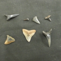 Sale Image for 81 SOUTH WAREHOUSE GALLERY 8