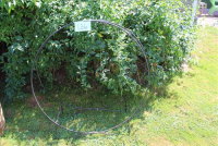 Sale Image for Online Estate Auction