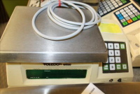 Sale Image for Jameson's Candy Store Liquidation Auction