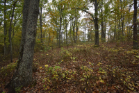 Sale Image for Wilkin Estate Personal Prop. -Absentee Bidding