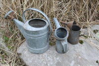 Sale Image for Moving Auction