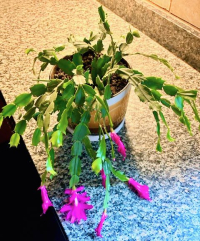 Sale Image for Country Estate Sale