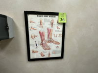 Sale Image for The Bunion Specialist