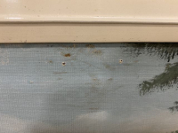 Sale Image for April Online Auction 2021